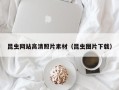 太康昆虫网站高清照片素材（昆虫图片下载）