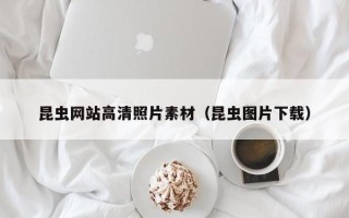 太康昆虫网站高清照片素材（昆虫图片下载）